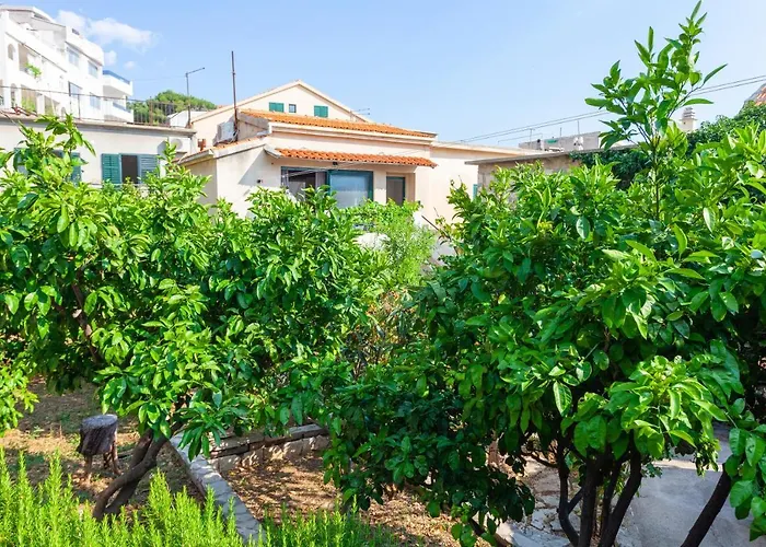 Sea And Lemon Tree Drašnice