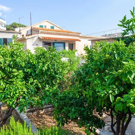 Sea And Lemon Tree دراسنيتش
